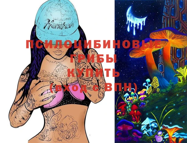 бошки Алзамай