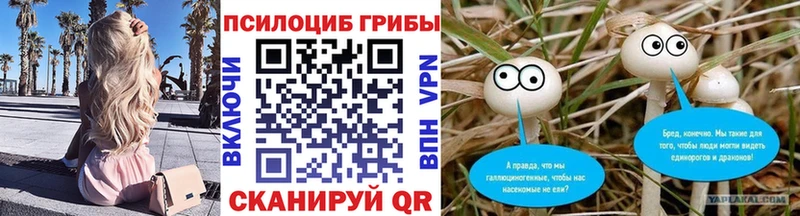 Галлюциногенные грибы Cubensis Волжский