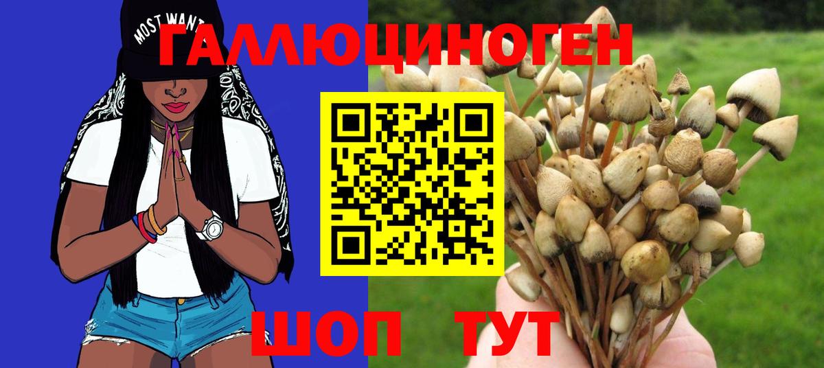 Псилоцибиновые грибы Cubensis Волжский