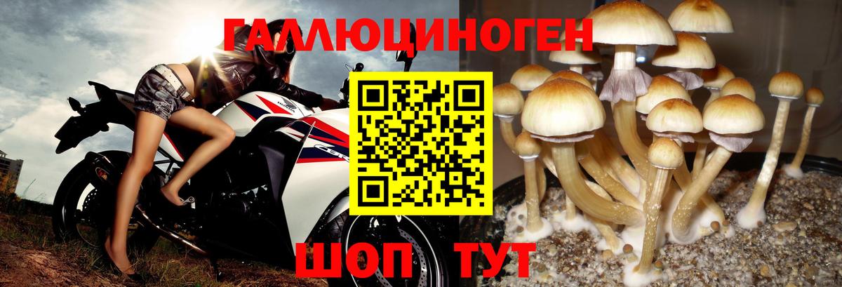 Псилоцибиновые грибы Psilocybine cubensis  Вход с VPN  Волжский  Галлюциногенные грибы Psilocybine cubensis 